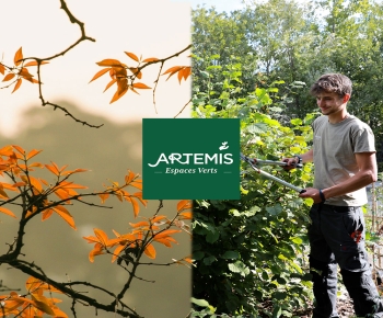 Votre jardin est source de sérénité, de réconfort, nous en prenons soin pour vous !